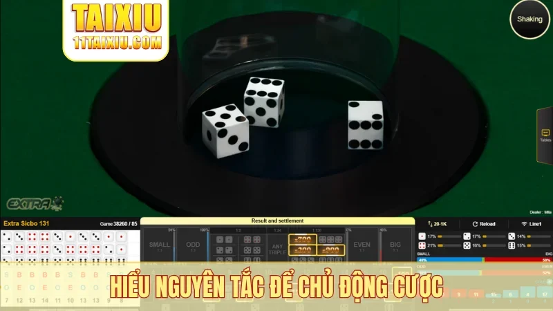 Hiểu nguyên tắc để chủ động cược