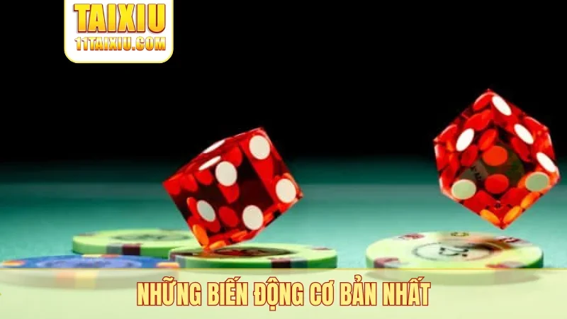 Những biến động cơ bản nhất