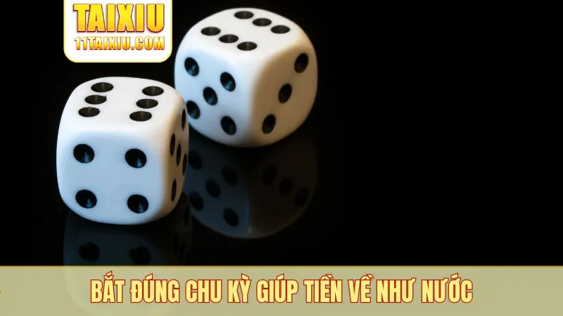 Bắt đúng chu kỳ giúp tiền về như nước