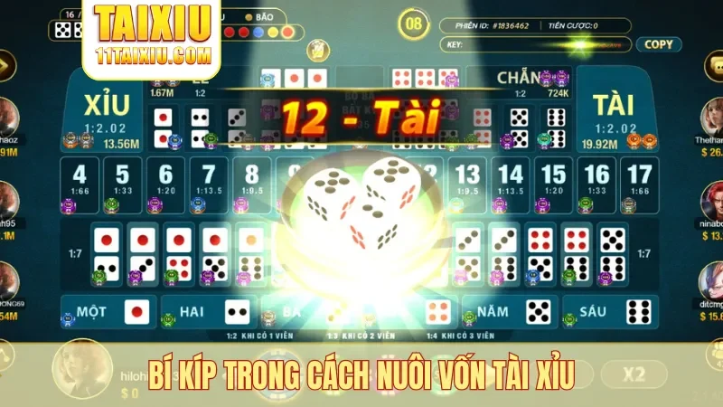 Bí kíp trong cách nuôi vốn tài xỉu